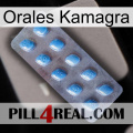 Oral Kamagra viagra3